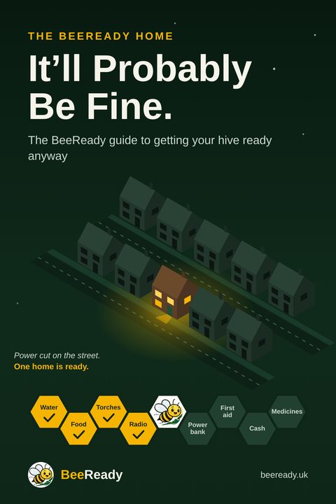 Book cover: The BeeReady Home: It’ll Probably Be Fine. A dark street in a power cut, with one house lit up.
